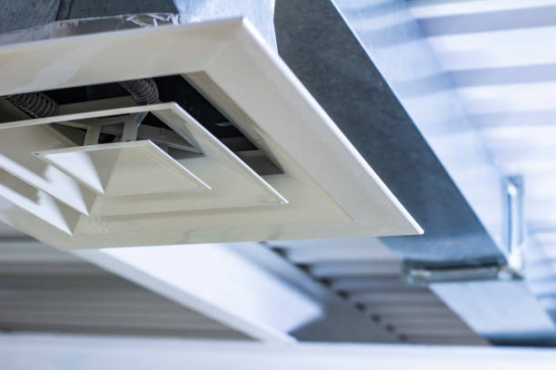 Best Air Duct Mold Removal  in Anthony, NM