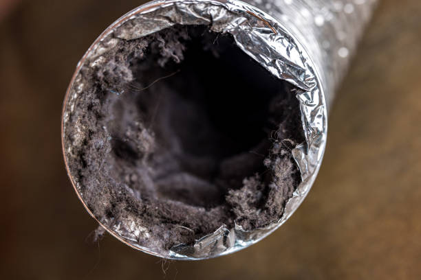 Best Air Duct Cleaning Near Me  in Anthony, NM